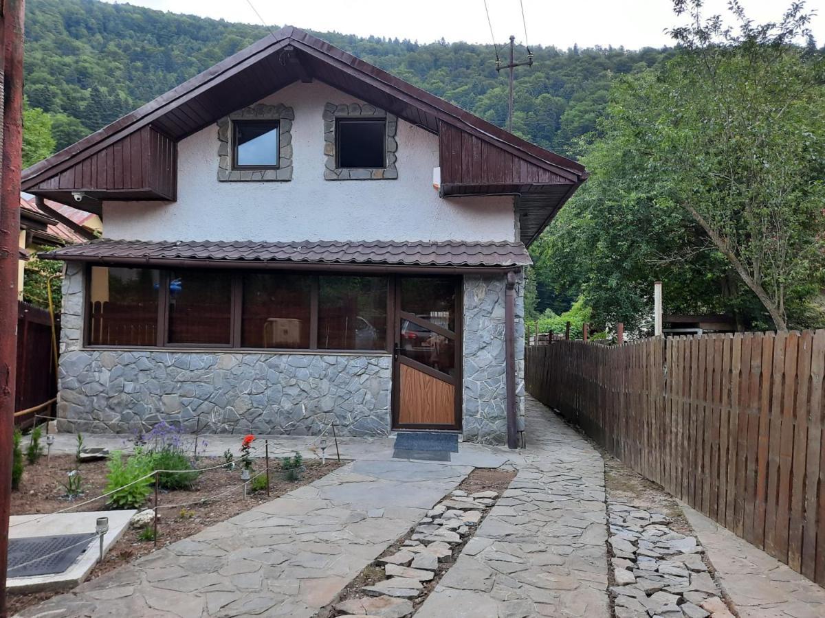 Casa Crissio Sinaia
